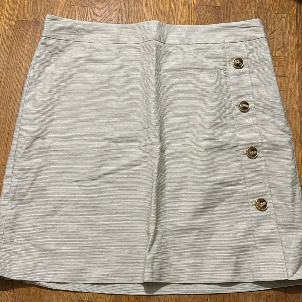 Ann Taylor Factory Skirt
